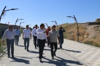 VAN GÖLÜ - Van TSO Heyetinden Kazı Ekibine Ziyaret