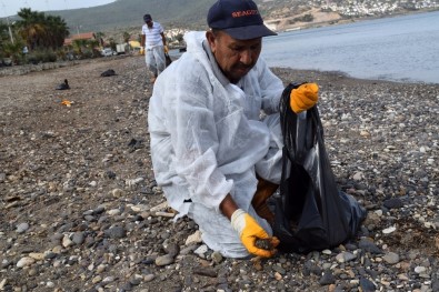 Foça'daki Denizin Temizlik Çalışmalarında Sona Yaklaşılıyor