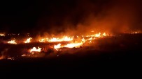 ORMAN YANGINI - Orman Yangını Paniğe Neden Oldu