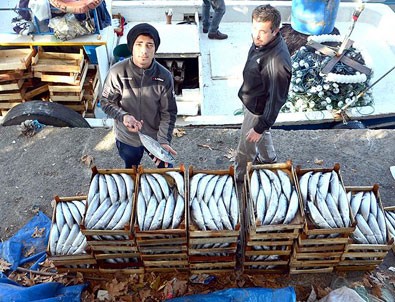 Palamut balıkçıların yüzünü güldürdü