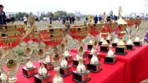 MUSTAFA KAHRAMAN - Samsun'da Rahvan At Yarışları