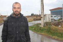 ELEKTRİK ENERJİSİ - Trafo Direğinin Altından Geçen Koyunlar Elektrik Akımına Kapılarak Telef Oldu