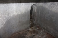 RÖNESANS - Atatürk Köşkü'nün Bilinmeyen Gizli Geçidi