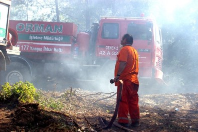 Bursa'da 2 Orman Yangını Çıktı, Ekipler Anında Müdahale Etti