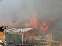Domaniç'teki Yangında 1 Ev, 1 Samanlık Ve 1 Ahır Kül Oldu