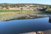 SARMAŞıK - Gölette Ayağına Sarmaşık Dolanan Genç Öldü