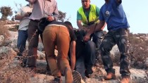 İsrail Askerleri AA Ve AFP Muhabirlerini Yaraladı