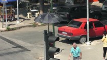 TRAFİK IŞIĞI - İzmir'de Kumruya Şemsiyeli Koruma