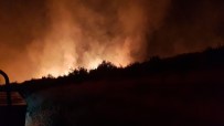 Samandağ'da Tarım Alanı Yangını