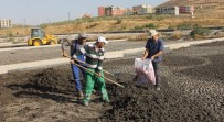 AYDıN ÖZER - Siirtli Çiftçilerin Gübresi Belediyeden