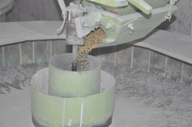 Kars'ta Ruslardan Kalan Değirmen 100 Yıldır Çalışıyor