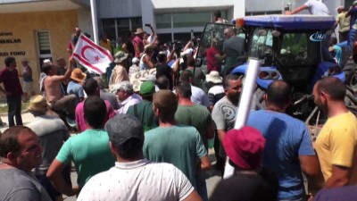 KKTC'de Hayvancılardan Traktörlü, Eşekli Protesto