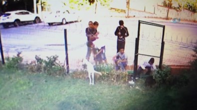 Çalıp Geri Getirdiler Açıklaması O Anlar Böyle Görüntülendi