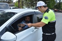 GAZI BULVARı - Niksar'da Emniyet Kemeri Uygulaması