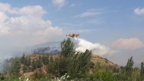 Osmaniye'deki Orman Yangınını Söndürme Çalışmaları Sürüyor