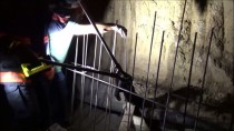 Silivri'de Üzerine Demir Saplanan Kedi Tedavi Altına Alındı