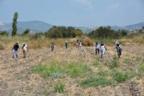 BILIM ADAMLARı - Aliağa'da Dev Kültür Hamlesi