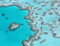 MERCAN RESIFLERI - Büyük Set Resifi'ni robotlar koruyacak