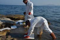 İzmir'de Deniz Kirliğinin Nedeni Tespit Edildi