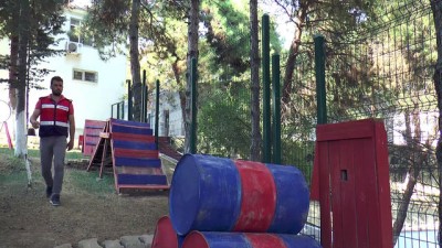 'Limit' Uyuşturucu Tacirlerine Geçit Vermiyor