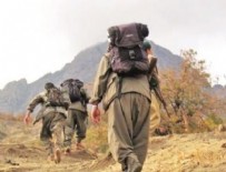 KAZAN VADISI - PKK'ya yeni darbe! Listeden bir kişi daha gitti!
