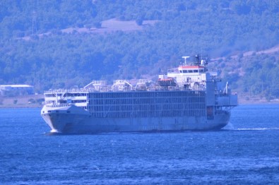 Şarbon İddiasına Sebep Olan Gemi Çanakkale Boğazı'ndan Geçti