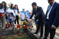Bakan Kurum Açıklaması 'Şehrin Siluetine Zarar Veren Projelere Gereken Yapılacak'