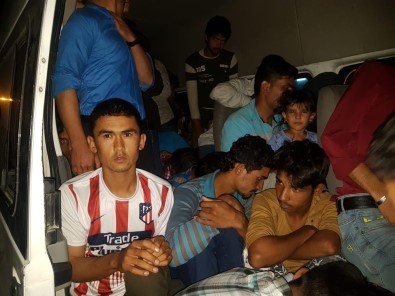 Muradiye'de 82 Kaçak Göçmen Yakalandı