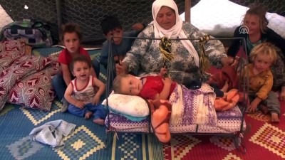 Yaylalarda Hayat Hem Zor Hem Keyifli