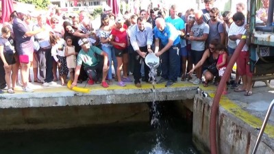 Bodrum'da 35 Bin Levrek Yavrusu Denize Bırakıldı
