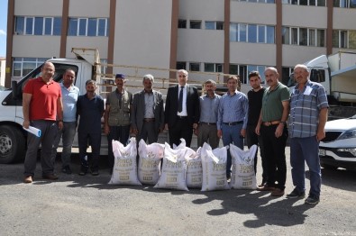 Erzurum'da Çiftçilere Tohum Desteği