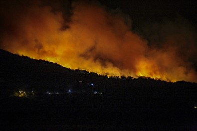 Sisam Adası'nda yangın