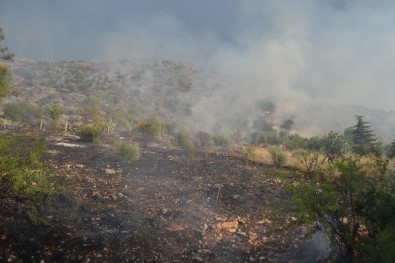 Tarihi Kozan Kalesi'nde Orman Yangını