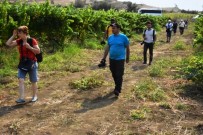 YENIKÖY - Tekirdağ'ın Dört Bir Yanını Fotoğrafladılar