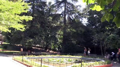 Türkiye'nin İlk Arboretumu 89 Yaşında