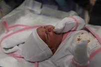Elazığ'da Yılın İlk Bebeği 'Bahar Mila' Oldu Haberi