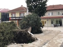 KONURALP - Akyazı'da Fırtına Hayatı Olumsuz Etkiledi