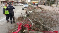 ETIBANK - Lodosun Şiddeti Gün Ağarınca Ortaya Çıktı