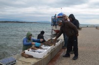 ORKİNOS - Olumsuz Hava Koşulları Balıkçıları Etkiledi