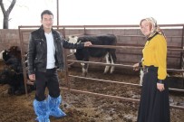 KıŞLA - Örnek Çift Ari İşletme Statüsüne Kavuştu