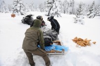 (Özel) Uludağ'da Kar Motoru İle Yaban Hayvanlarını Beslediler