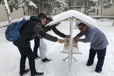 Üniversiteli Öğrenciler Kuşlar İçin Doğaya Yem Bıraktı