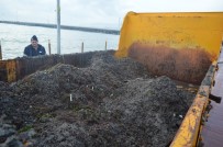 LODOS - Dalgaların Şiddeti Gün Ağarınca Ortaya Çıktı