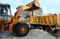 HALITPAŞA - Erzincan'da Karla Mücadele Çalışmaları