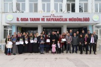 SÜS BALIĞI - Kadınlar,Akvaryumda Balık Üreterek Ekonomiye Katkı Sağlayacak