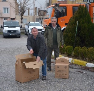 Kırklareli'nde Ölmek Üzere Olan Onlarca Kuş Bulundu