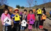 Köy Öğrencilerden 'Kuş Evi' Projesi