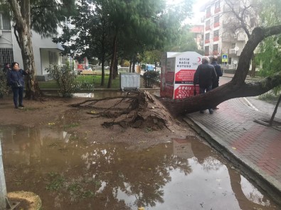 Sağanak Yağış Ve Fırtına Zor Anlar Yaşattı