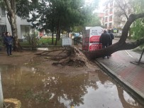 LODOS - Sağanak Yağış Ve Fırtına Zor Anlar Yaşattı