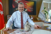 DONMA TEHLİKESİ - Yavru Baykuş Belediye Başkanının Maskotu Oldu